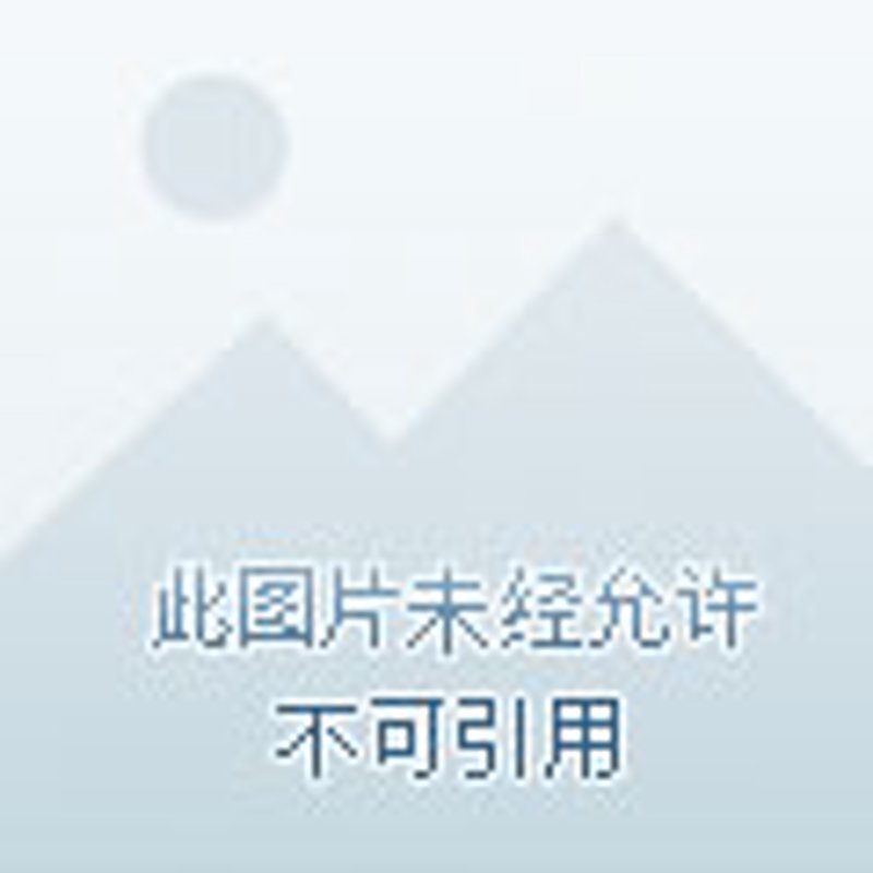 构建城市安全网：消火栓安装的重要性与实践探索